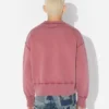 Sudadera bordada «The Needles»